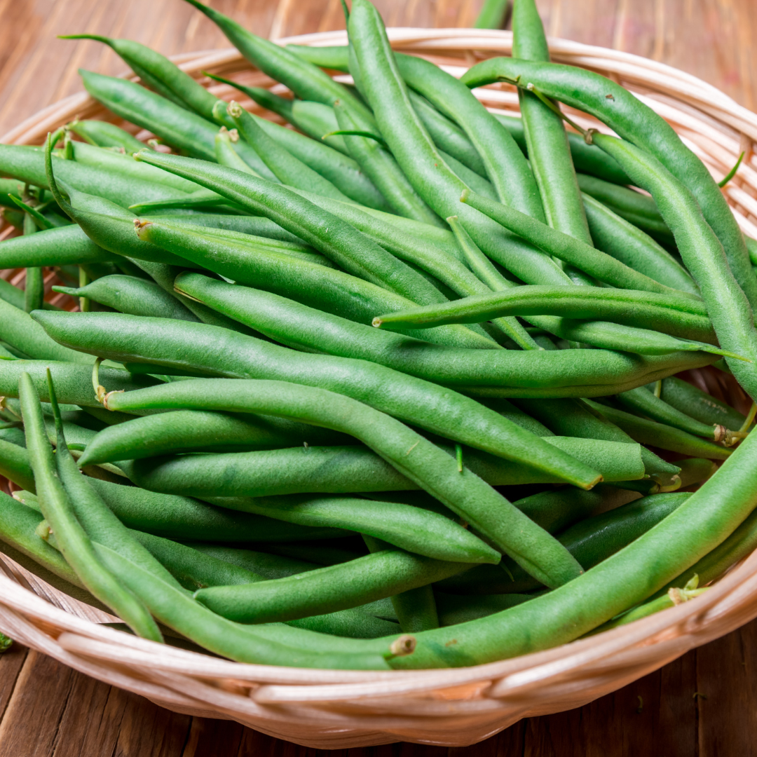 Dvärgbrytböna - Record