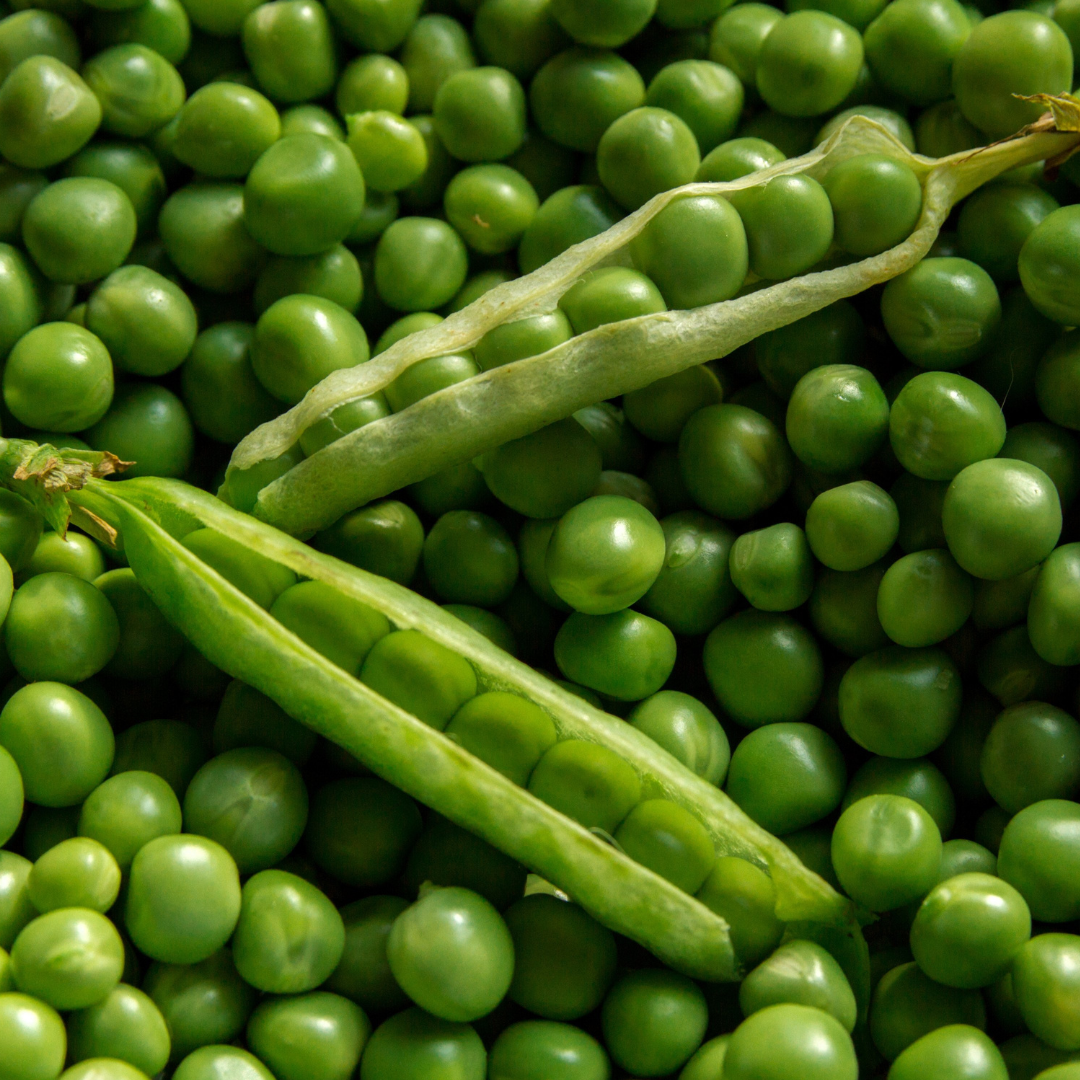 Märgärt  - Prince Albert - Kulturarv