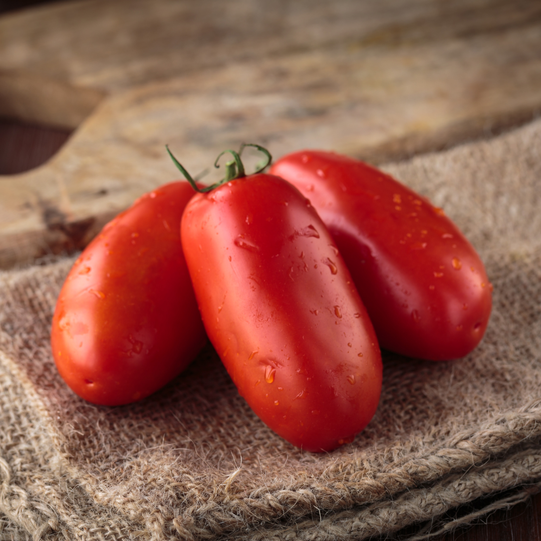 Ekologisk Tomat - Kalami