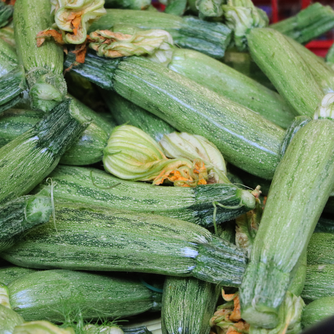 Squash - Nimba - Kultursort
