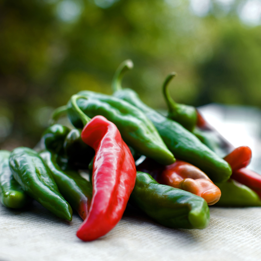 Chili - Anaheim - Kultursort