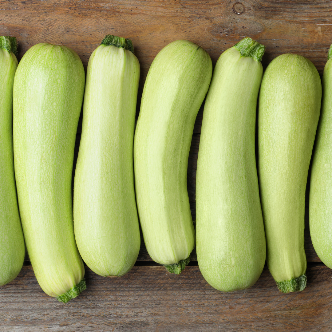 Squash - Bianca Di Trieste