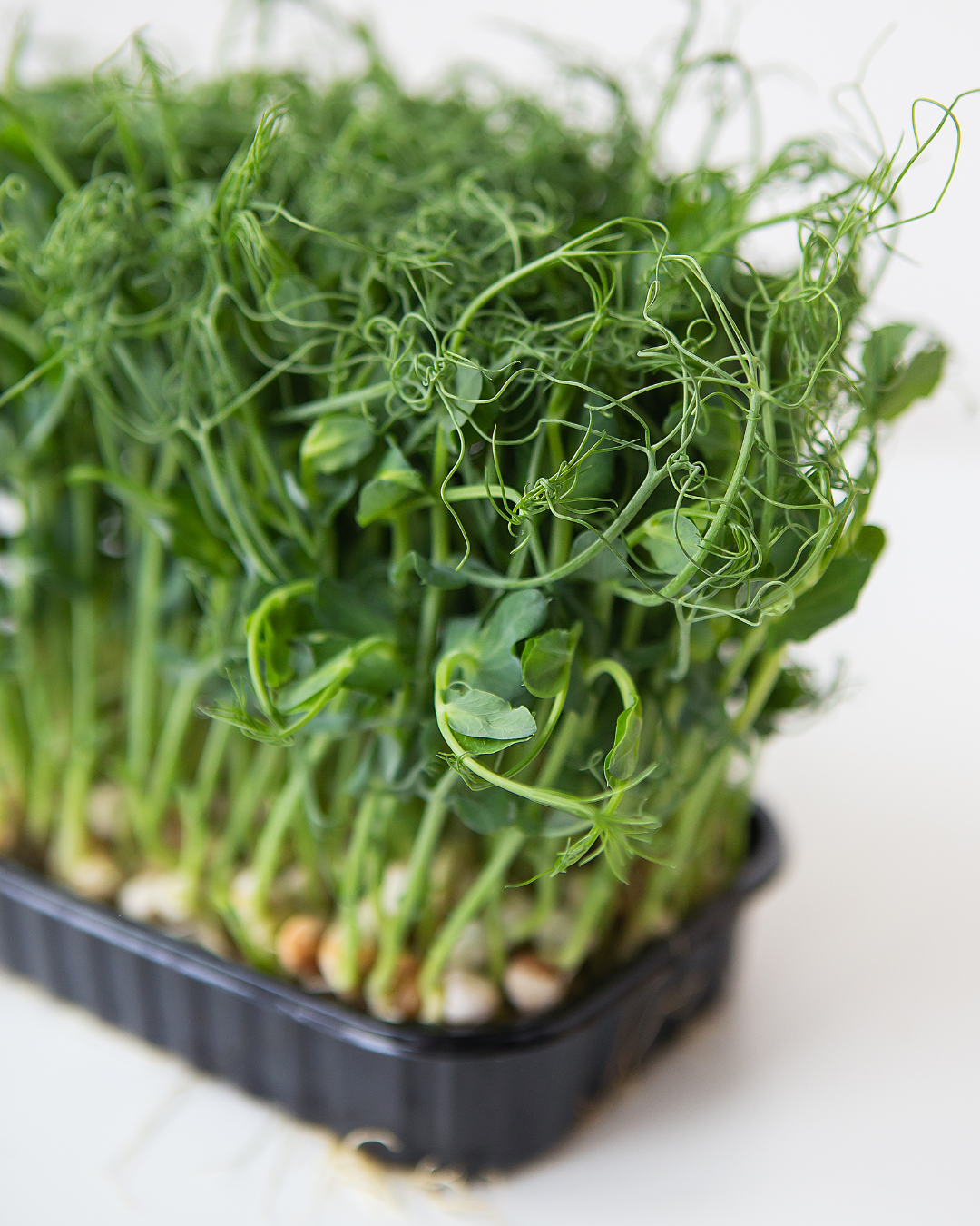 REA! Ekologisk Microgreen - Ärtskott