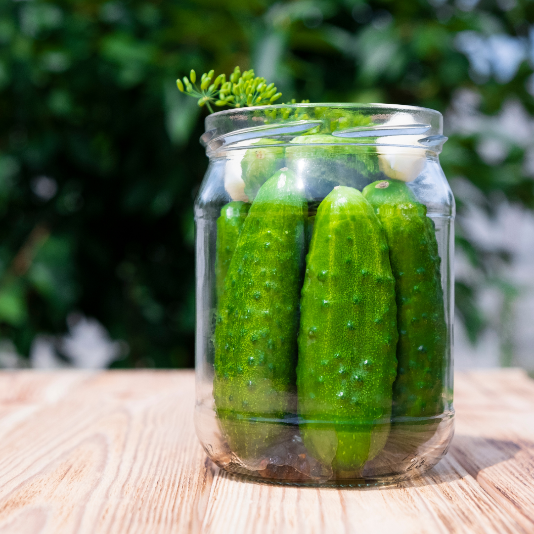 Frilandsgurka - Marketer - Kultursort