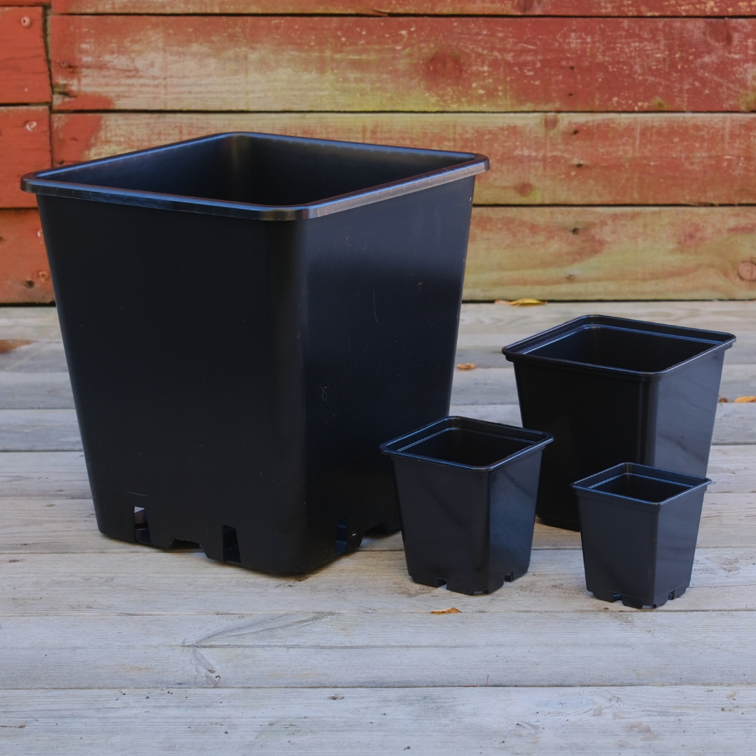 Kraftig Plastkruka - 13x13x13cm
