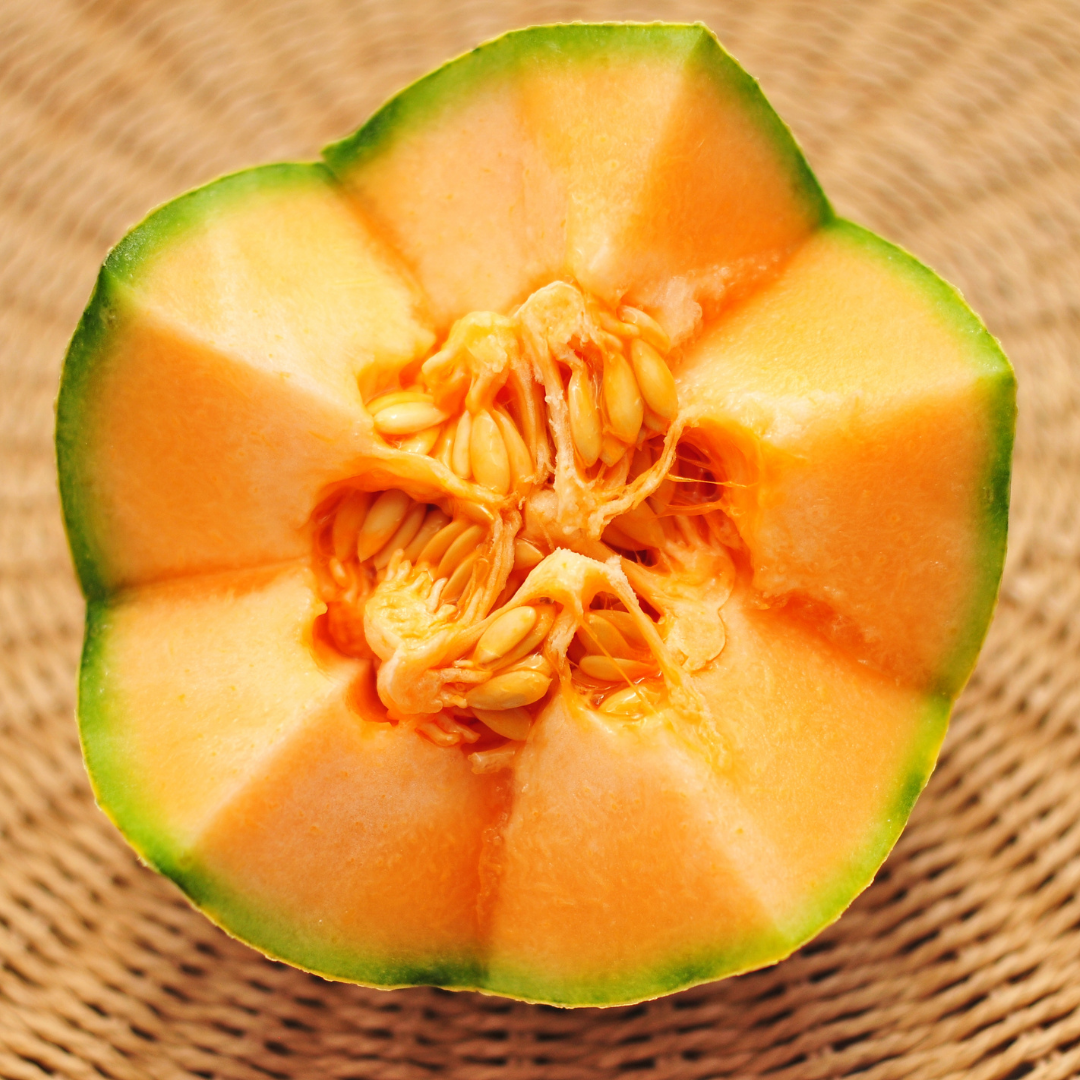 Cantaloupemelon - Melba