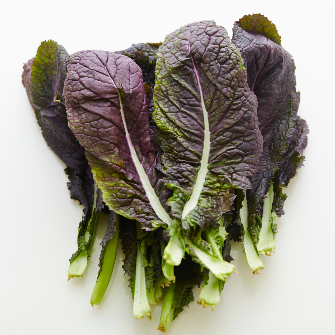 Indisk Bladsenap - Red Amsoi