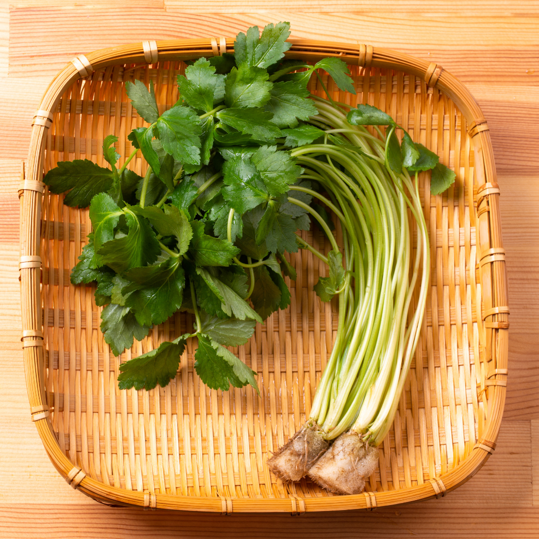 Japansk Persilja - Mitsuba