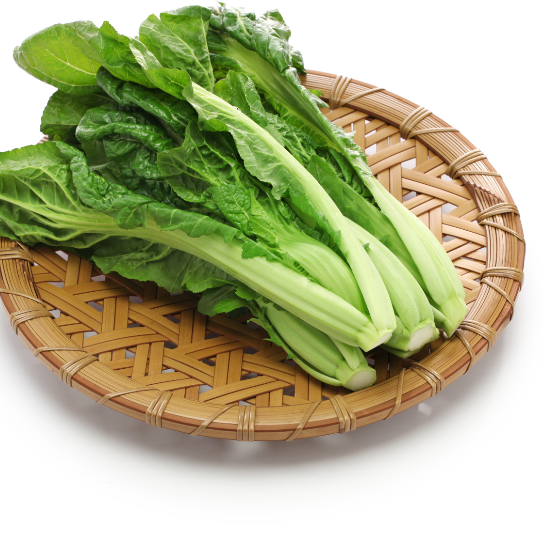 Japansk Spenat - Komatsuna Tendergreen