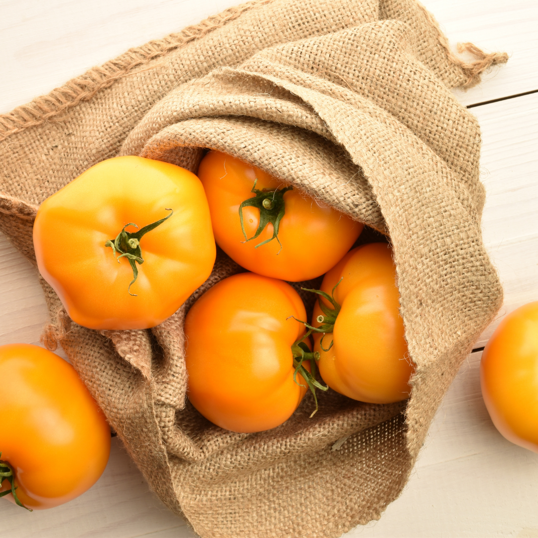 Ekologisk Busktomat - Yellow Donut - Kultursort