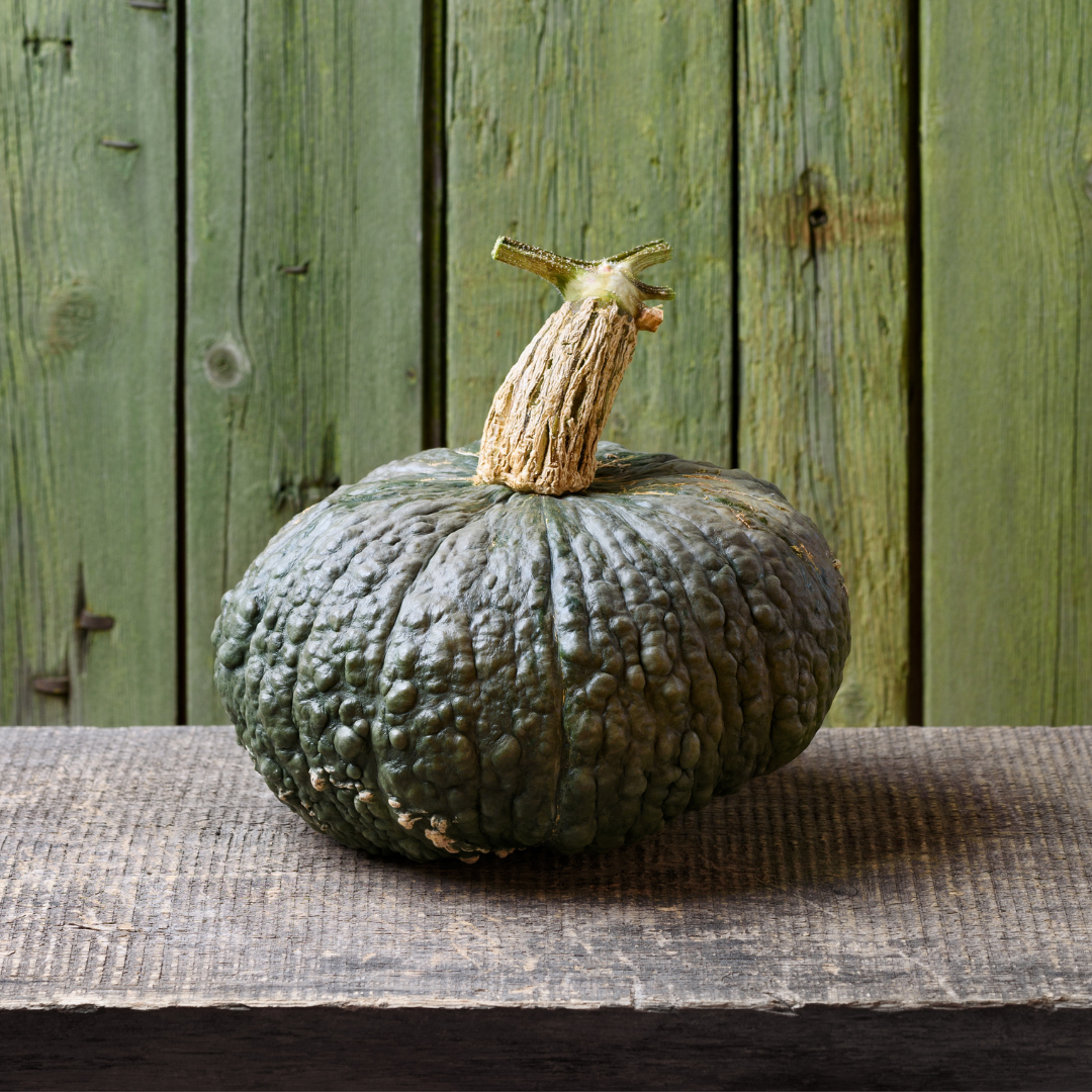 Jättepumpa - Marina di Chioggia - Kultursort