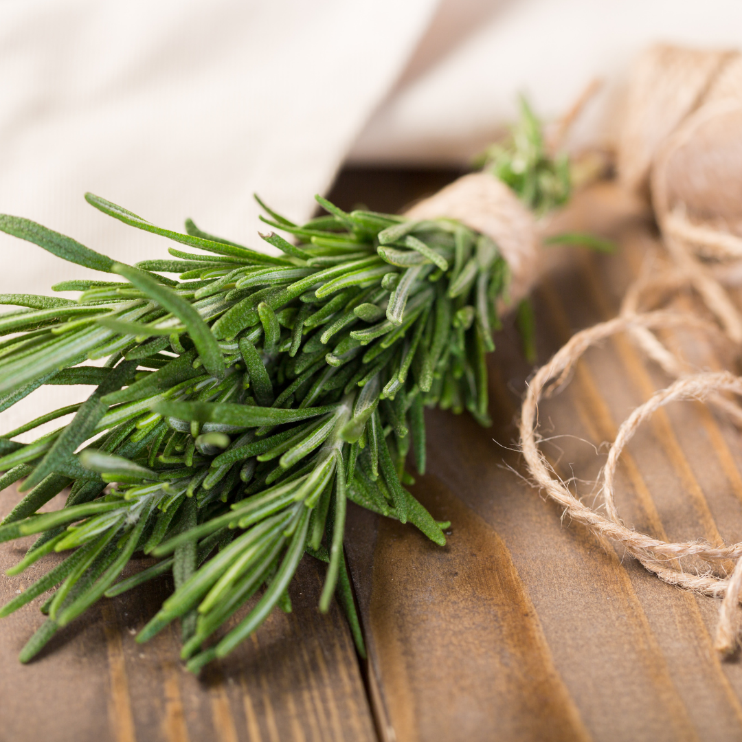 Ekologisk Rosmarin - Klassisk