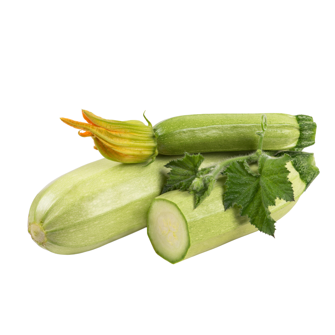 Squash - Alberello di Sarzana