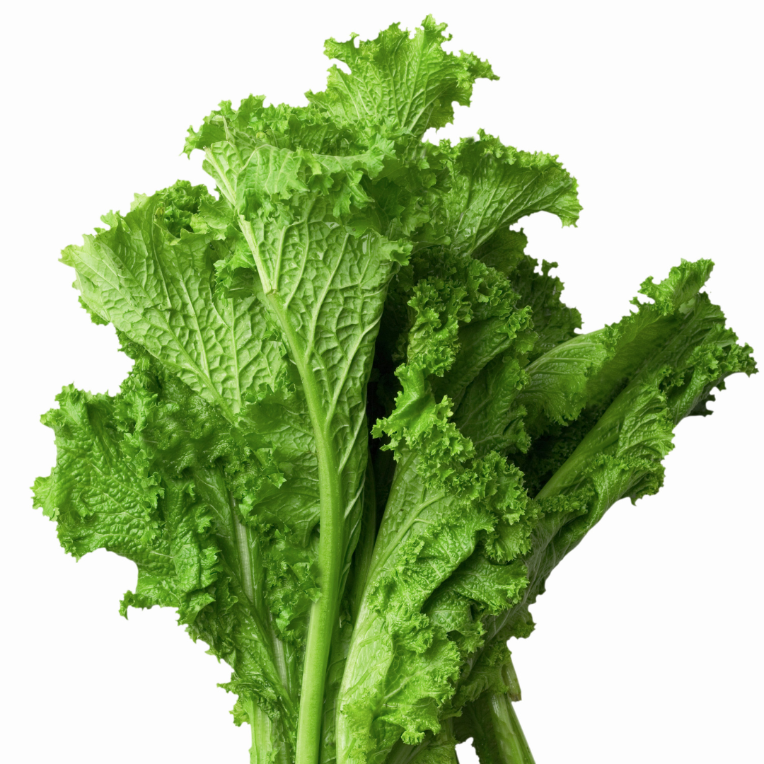 Salladssenap - Southern Giant