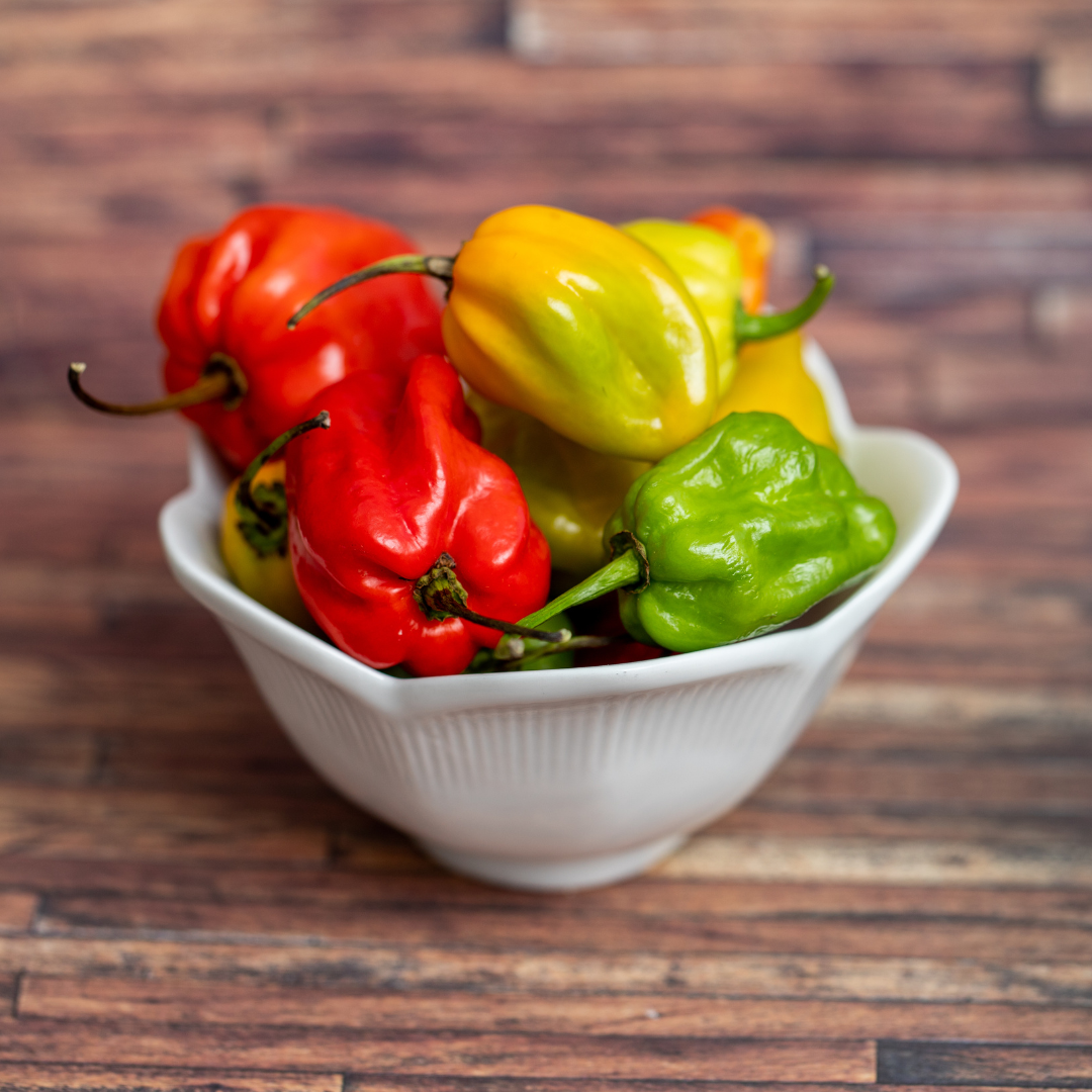 REA! Havannapeppar - Habanero Red - Chilipeppar - 3