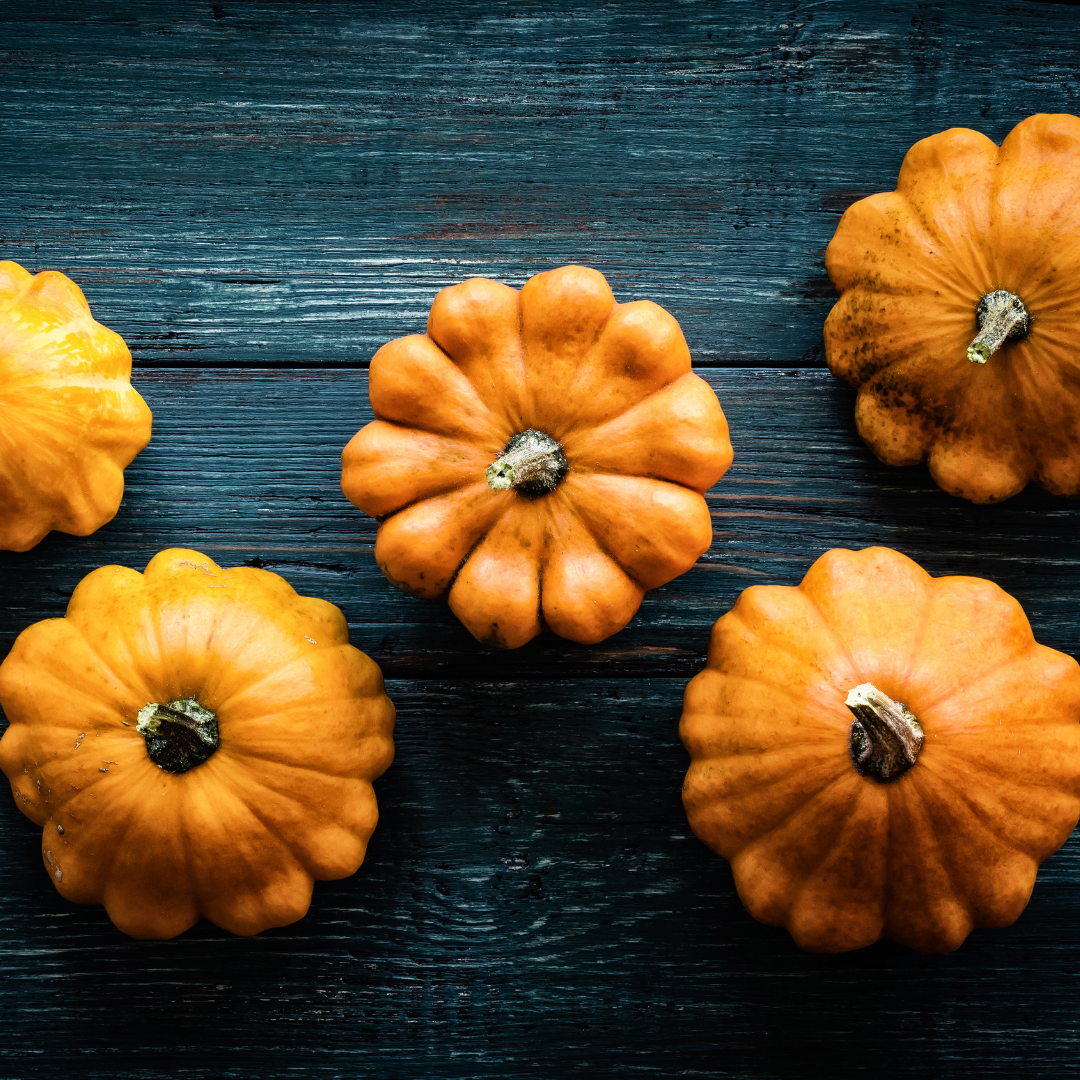 Squash - Patisson Orange - Tefatspumpa