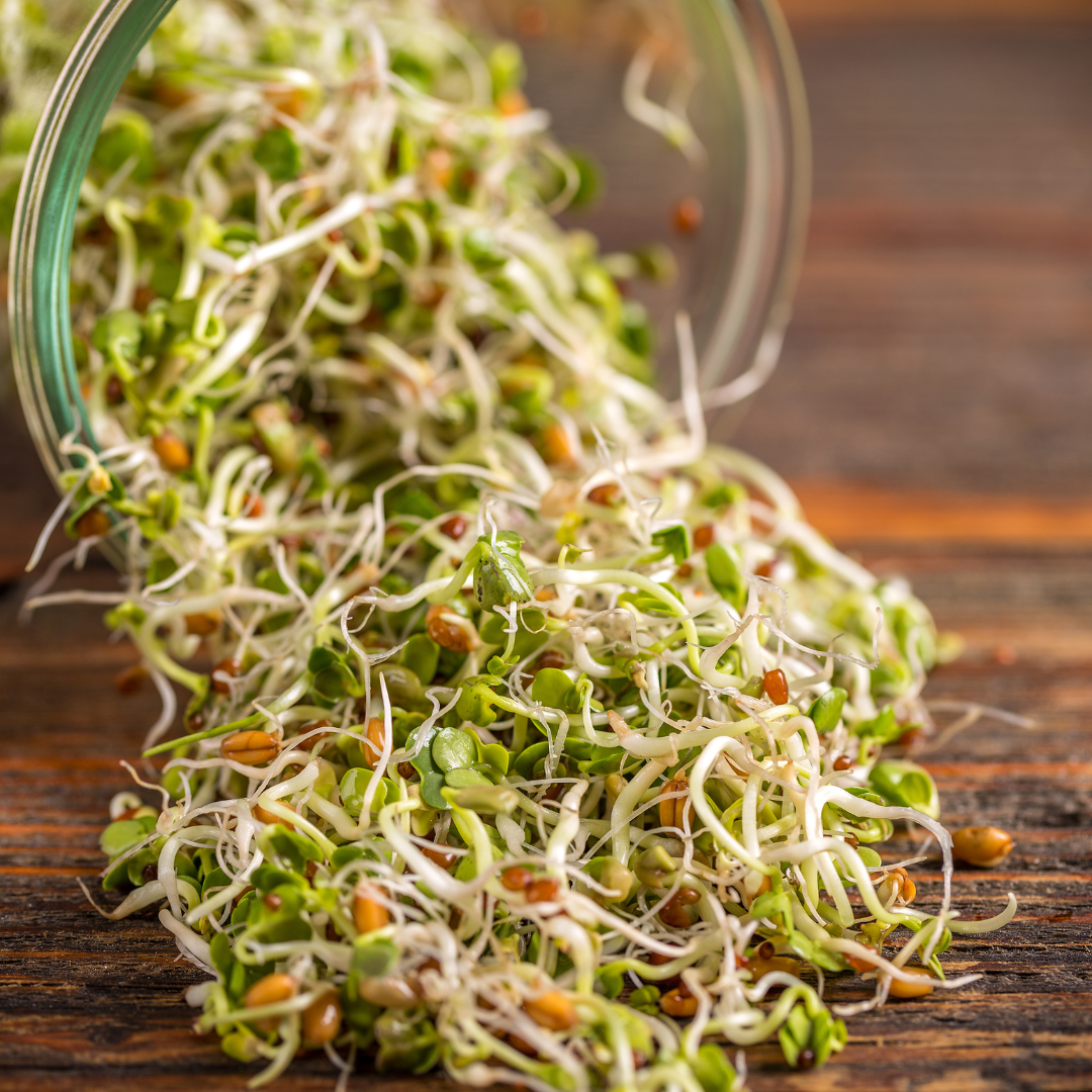 Groddar, skott och microgreens - en guide till smakrika och näringsrika tillbehör - 6