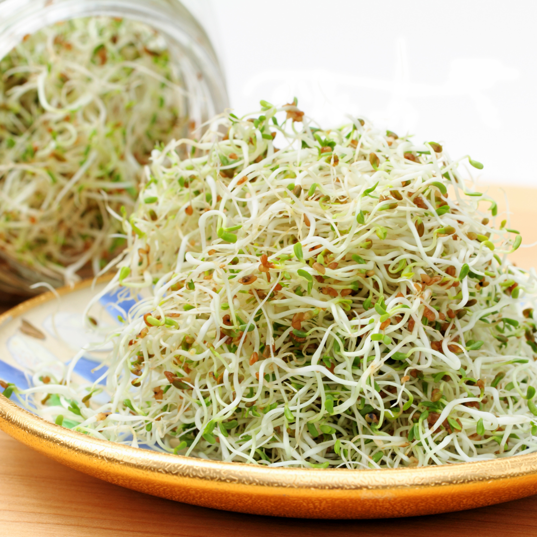 Groddar, skott och microgreens - en guide till smakrika och näringsrika tillbehör - 3