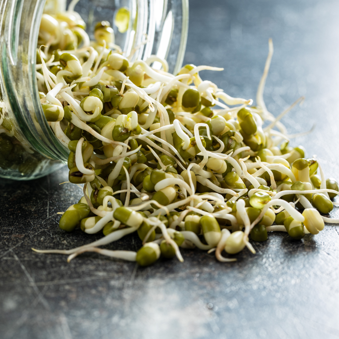 Groddar, skott och microgreens - en guide till smakrika och näringsrika tillbehör - 5