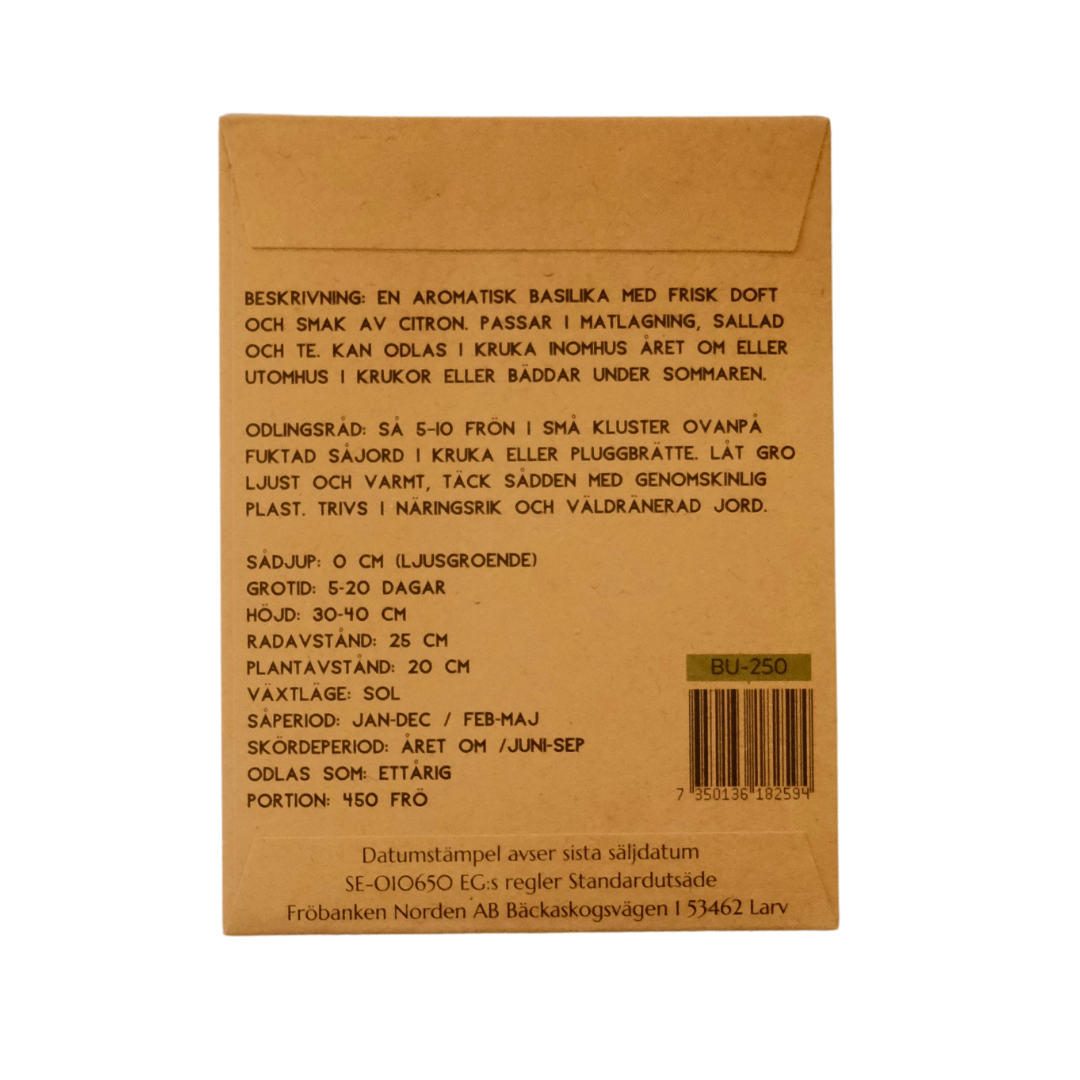 Citronbasilika - Lemon - 2