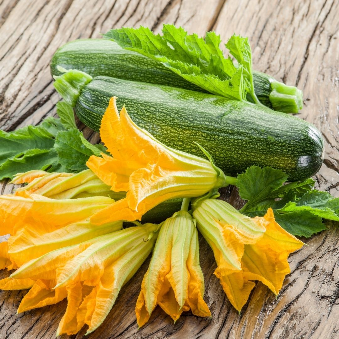 Ekologisk Squash - Zuboda