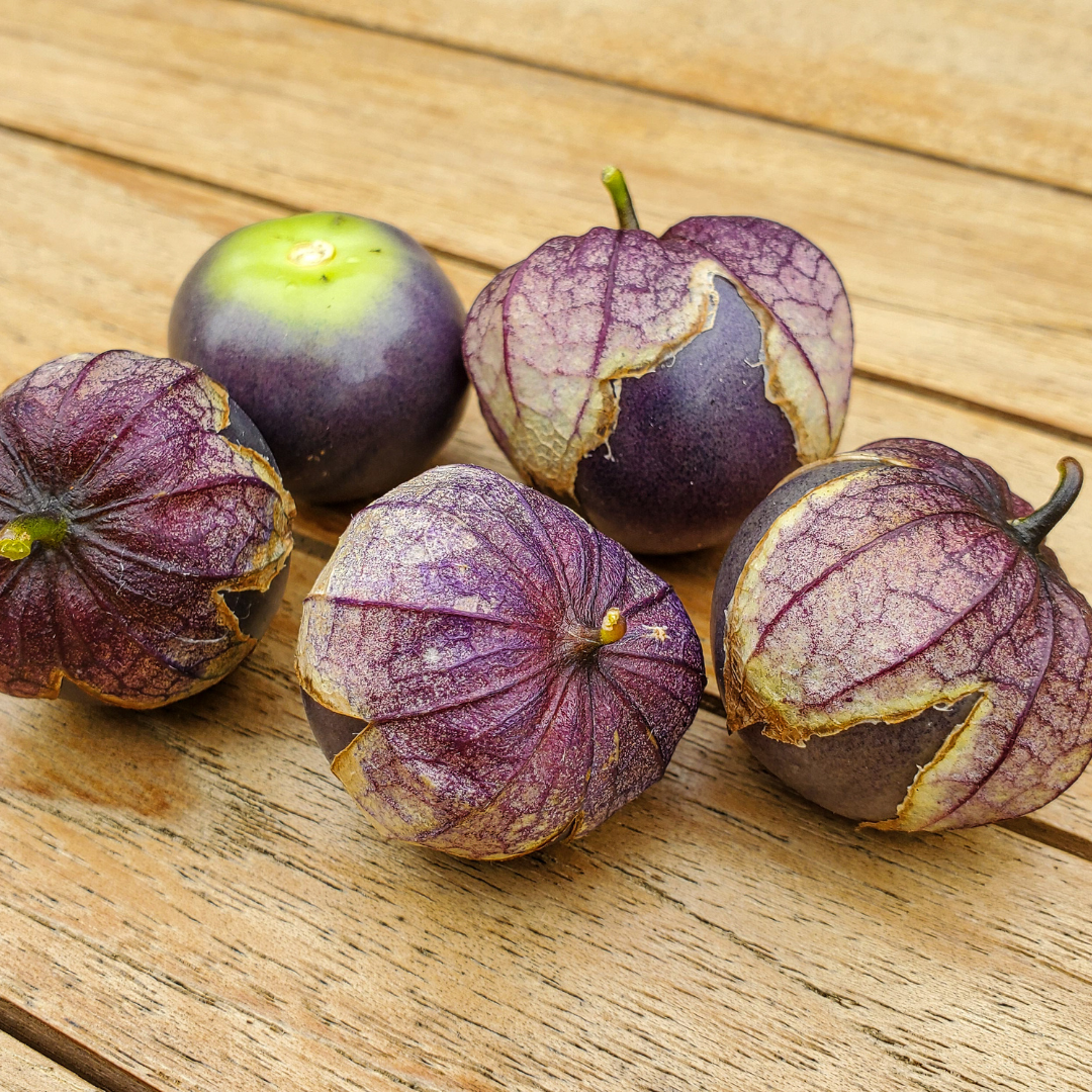 Ekologisk Tomatillo - Purple