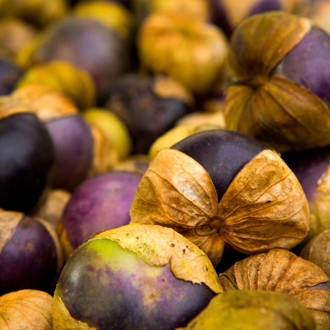 Ekologisk Tomatillo - Purple