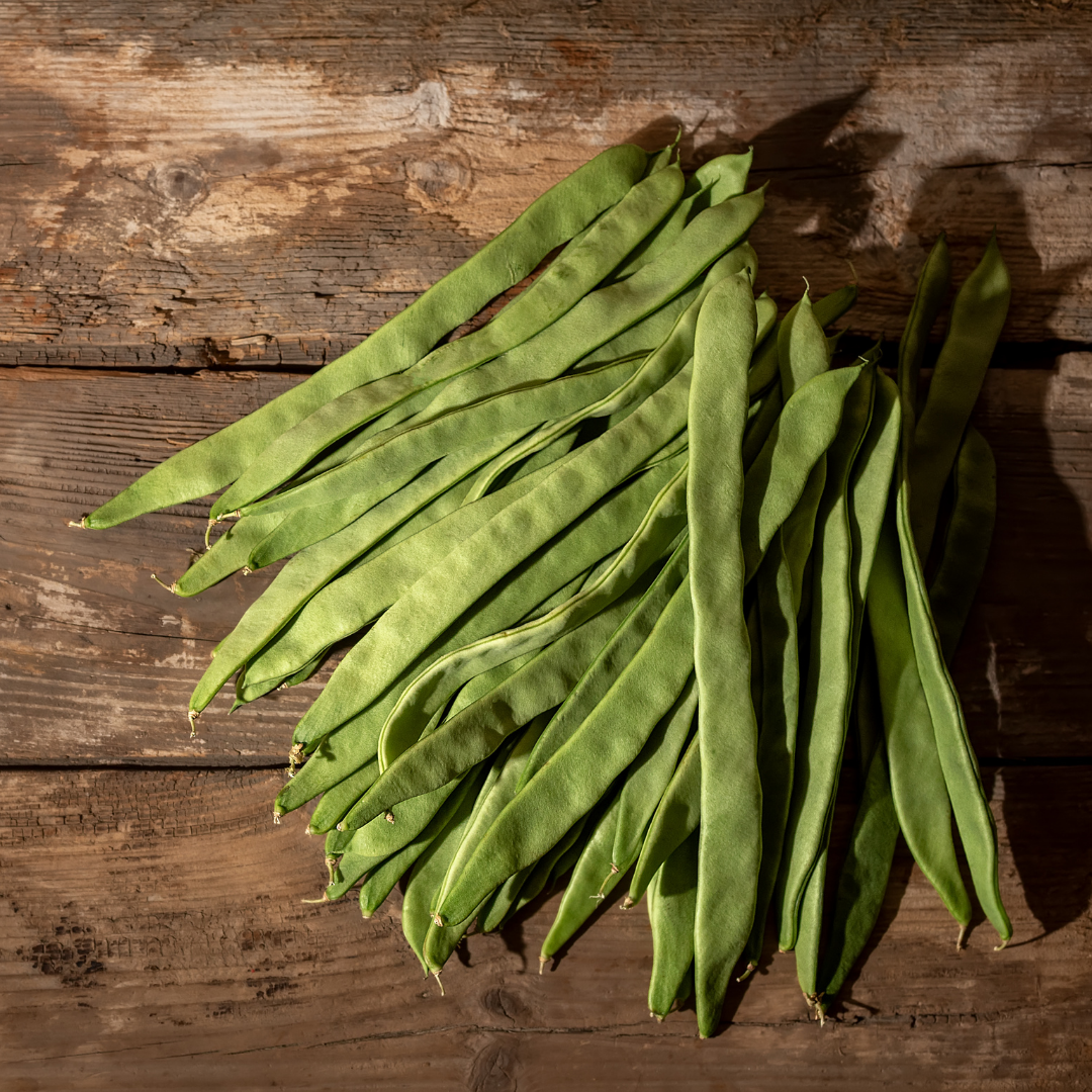 Dvärgskärböna - Roma II - Kultursort