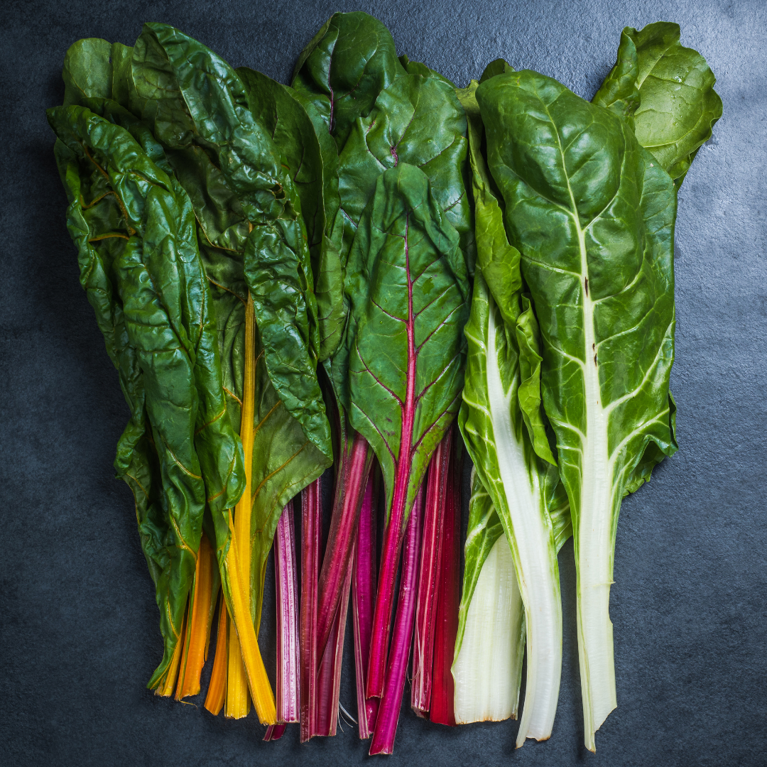 Mangold - Regnbågsmix