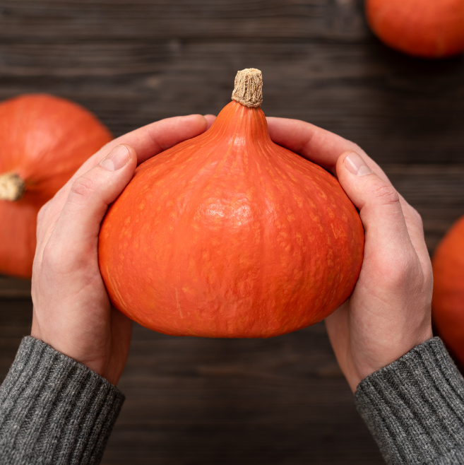 Vintersquash - Uchiki Kuri - Hubbardpumpa