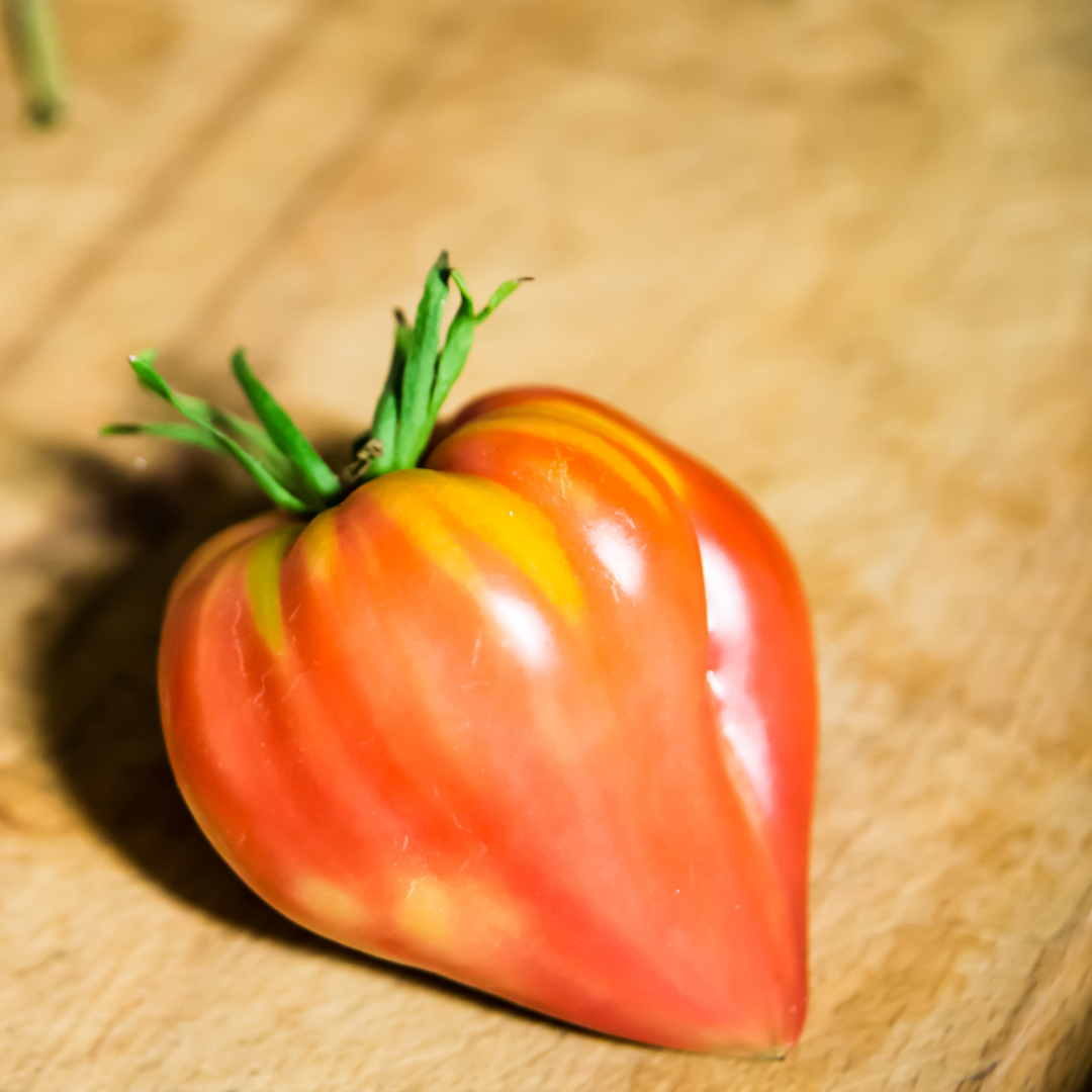 Bifftomat - Oxheart Coeur De Boeuf - Kultursort