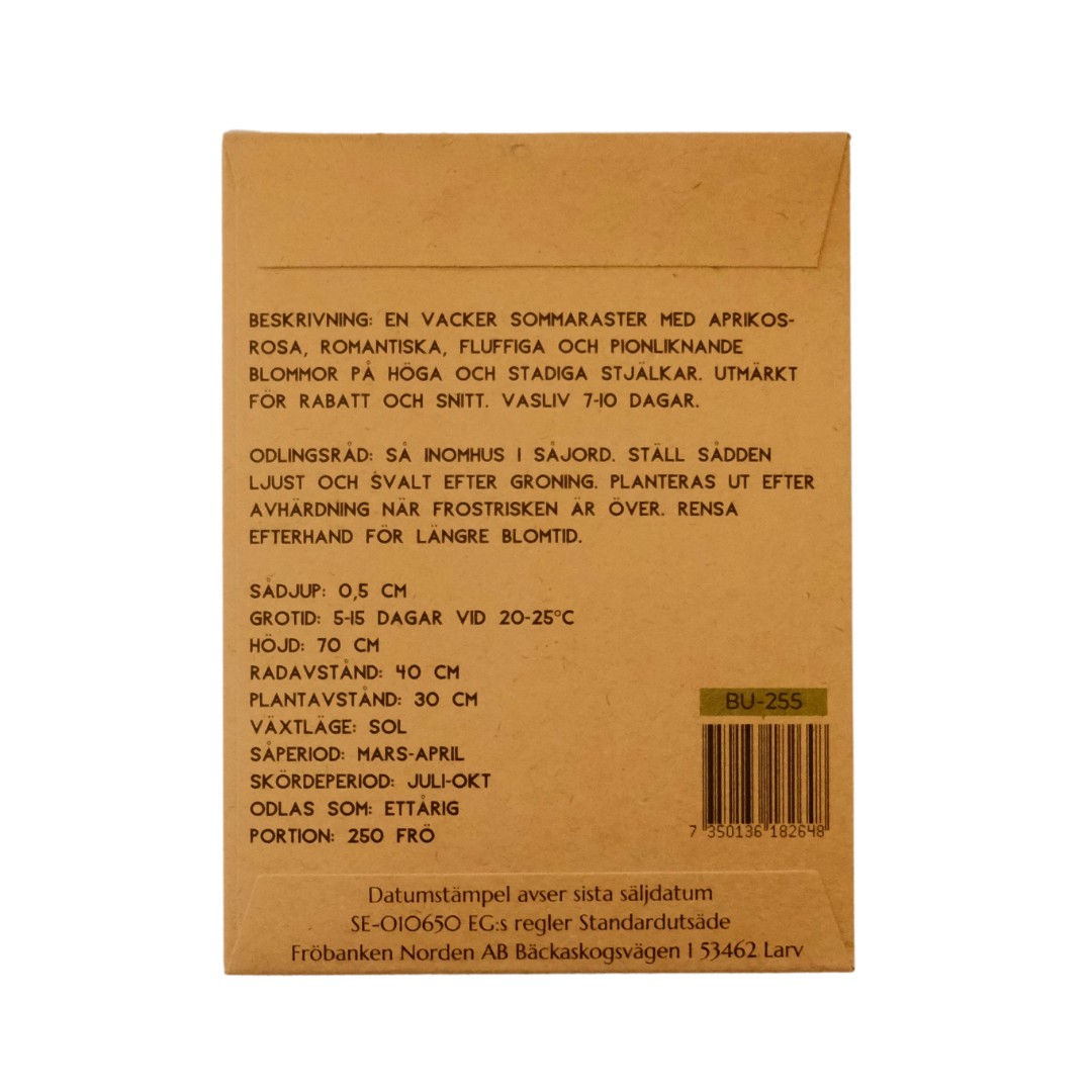 Sommaraster - Apricot Chamois