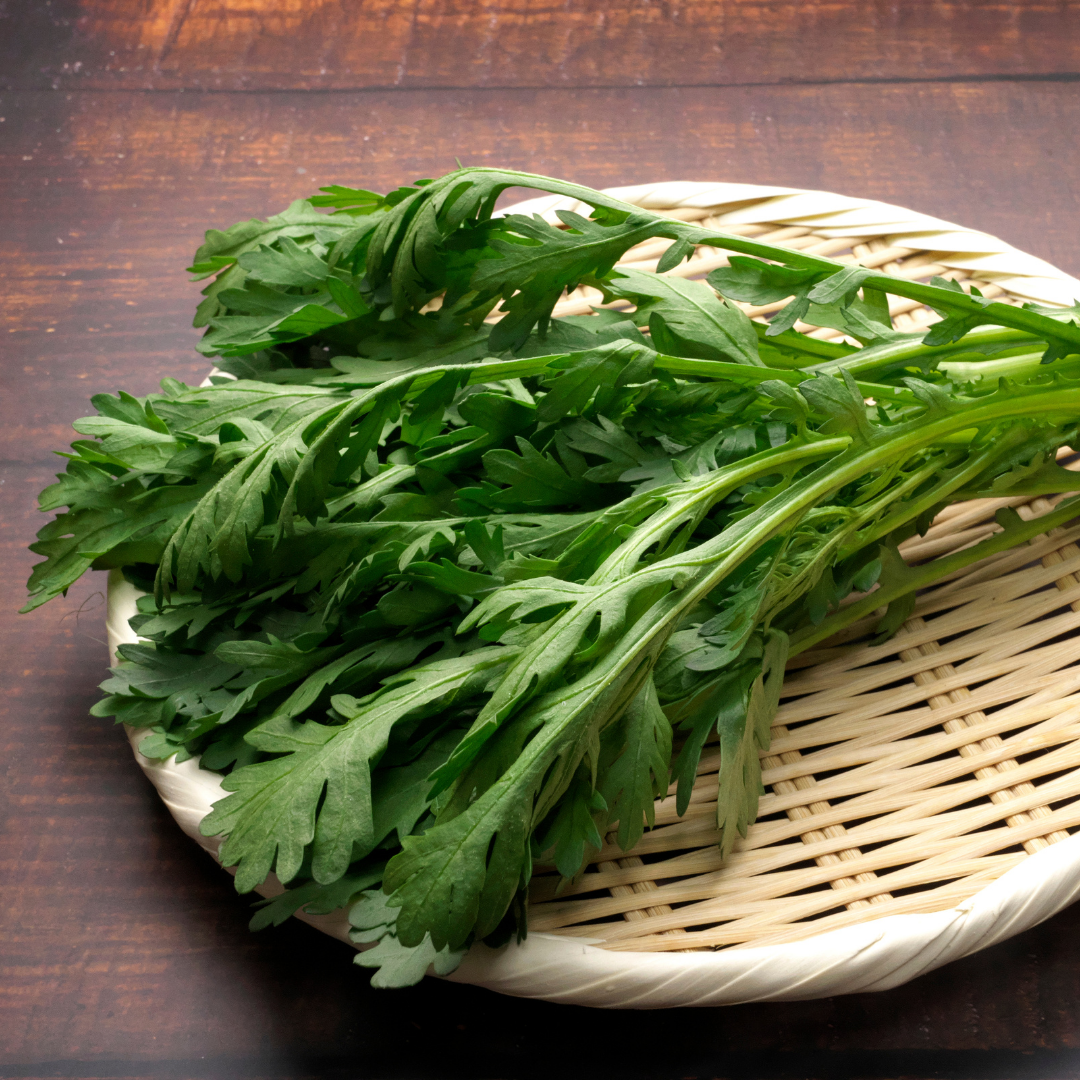 Shungiku - Chopsuey Green