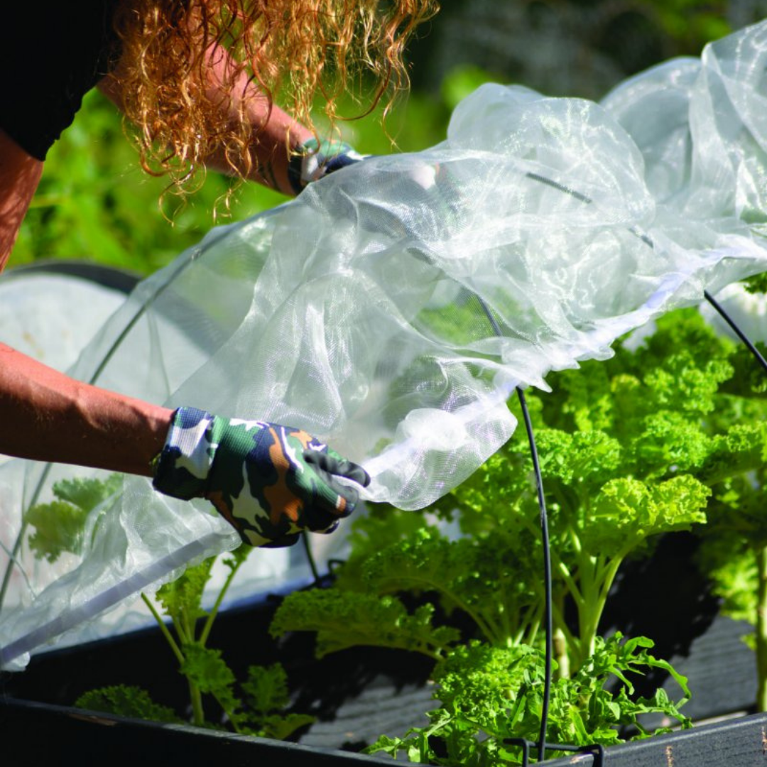 Kålnät för pallkrage - Med resår - Nelson Garden