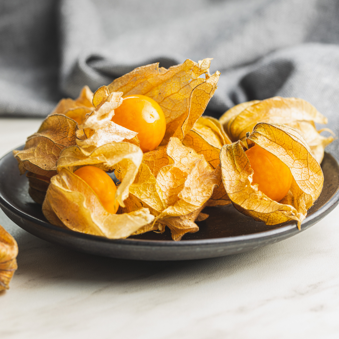 Ekologisk Gyllenbär - Molly