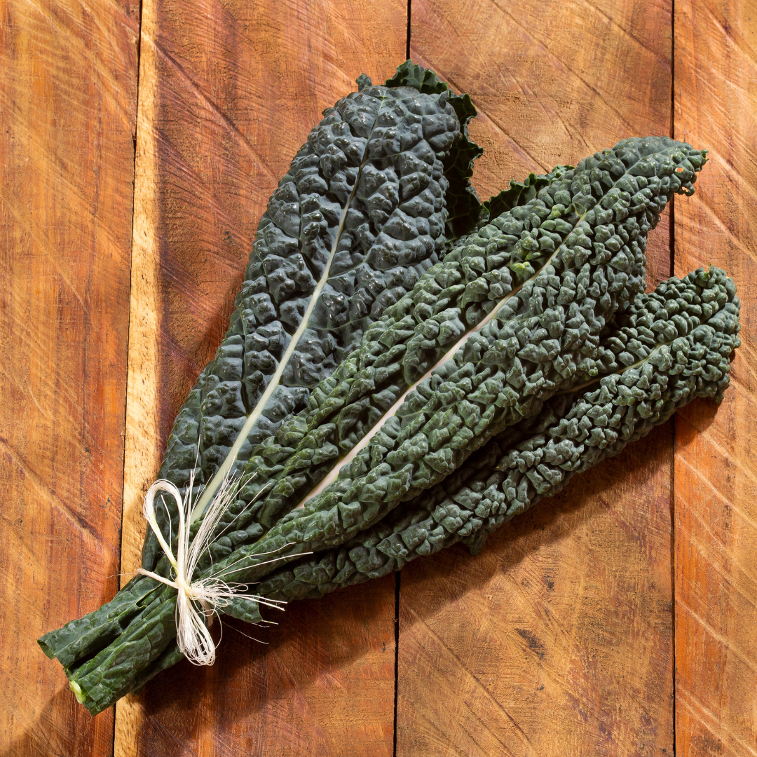Palmkål - Nero Di Toscana - Kultursort