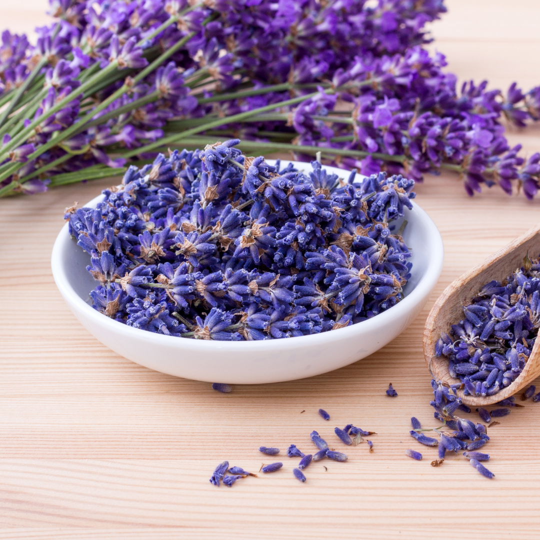 Lavendel - True Lavender - 4