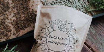 Frö - Microgreens