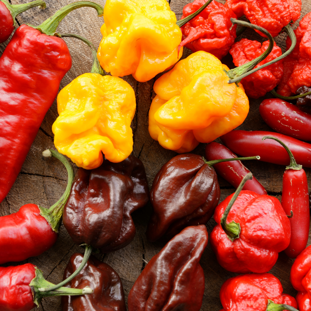 Eko Paprika & Chili