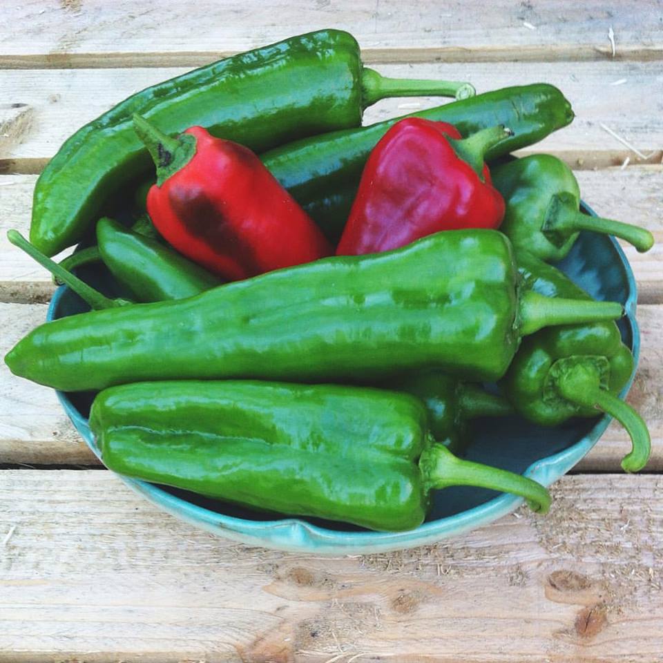Paprika & Chili