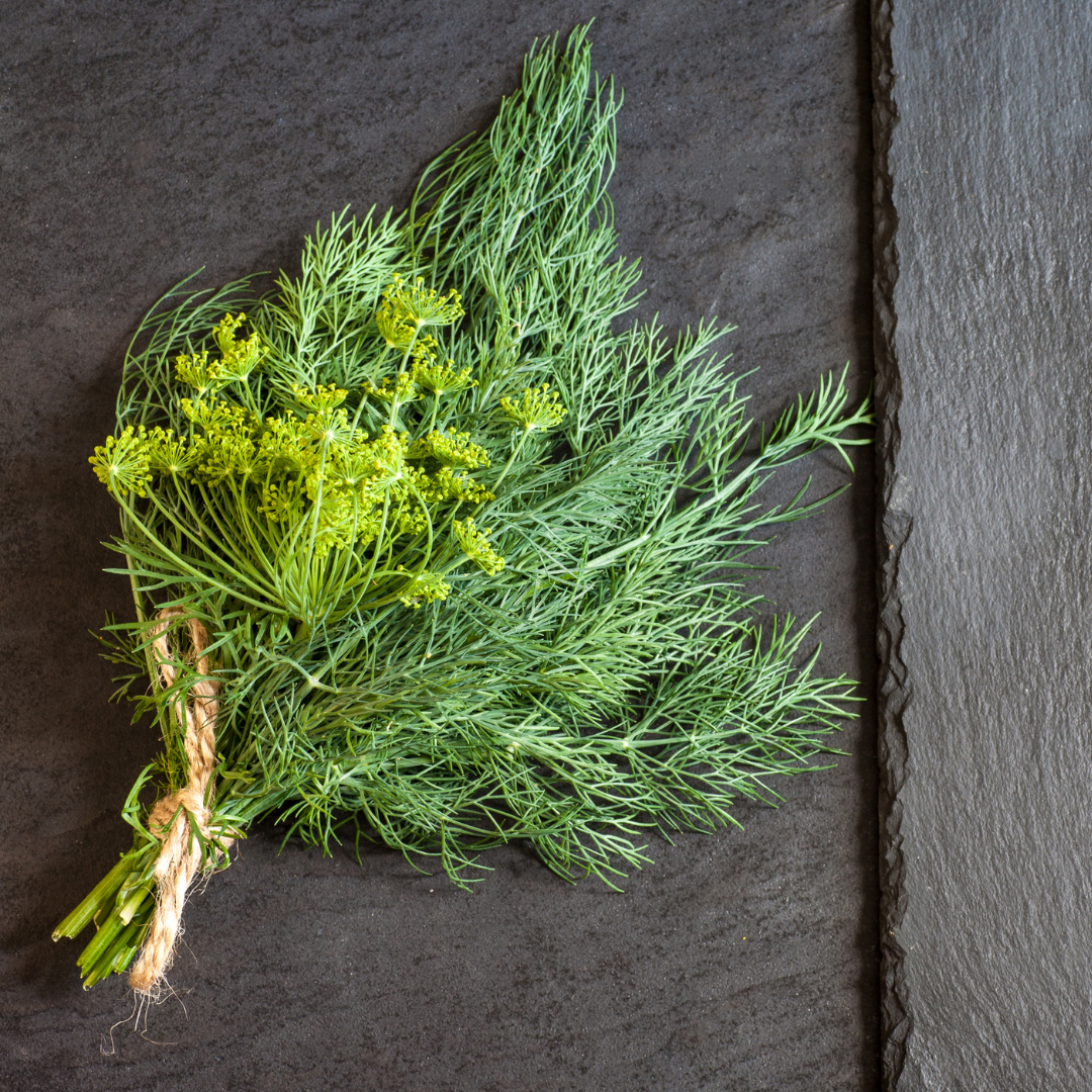 Dill