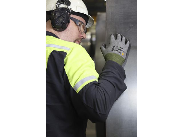 Skärskyddshandske TEGERA 8846 F 10