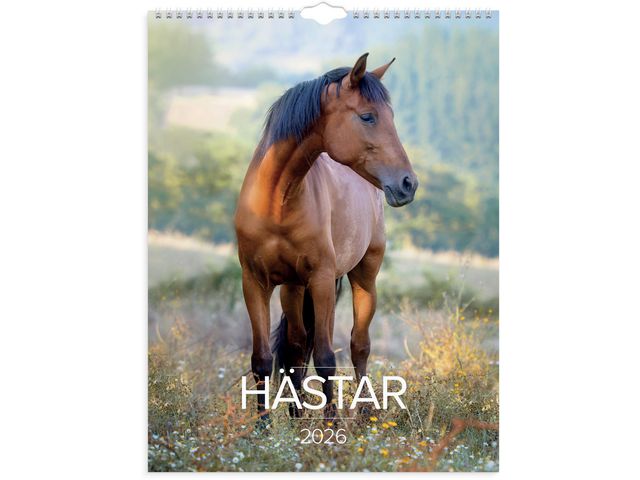 Väggkalender Stora Hästkalendern 2026