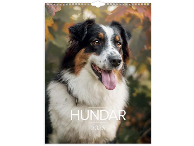 Väggkalender Stora Hundkalendern 2026