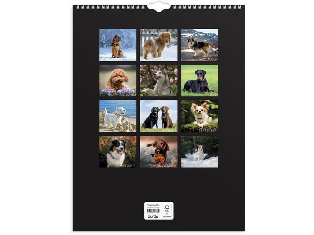 Väggkalender Stora Hundkalendern 2026