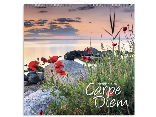 Väggkalender Carpe Diem 2026