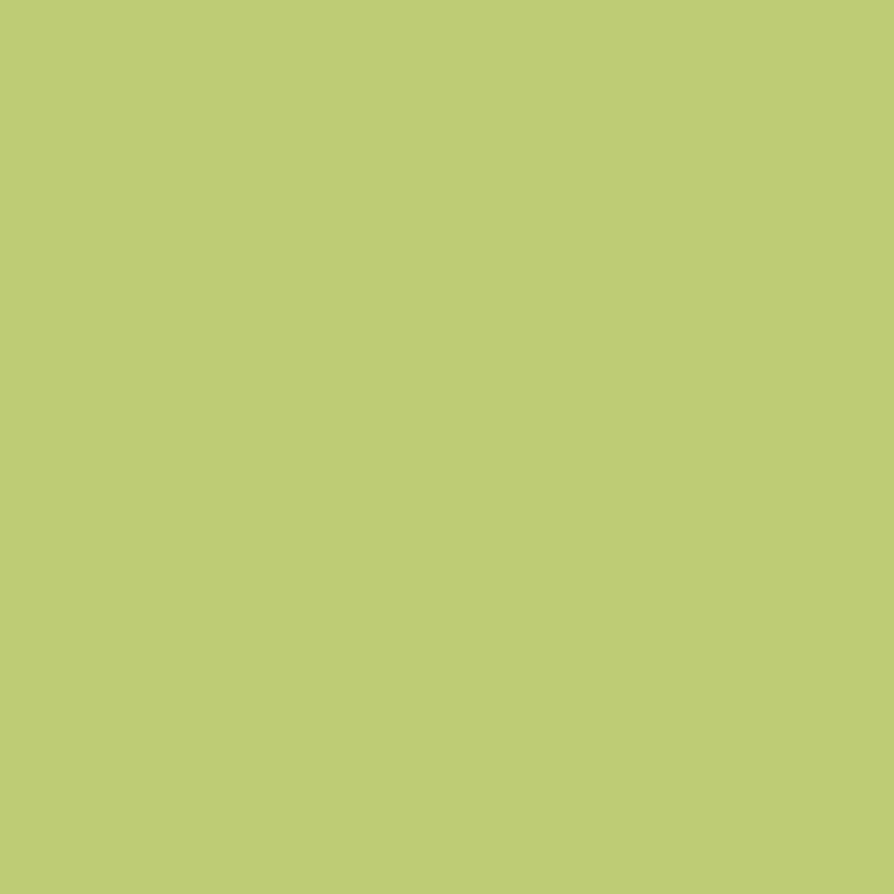 Kopieringspapper Image A4 120 g Dark Green 250-pack