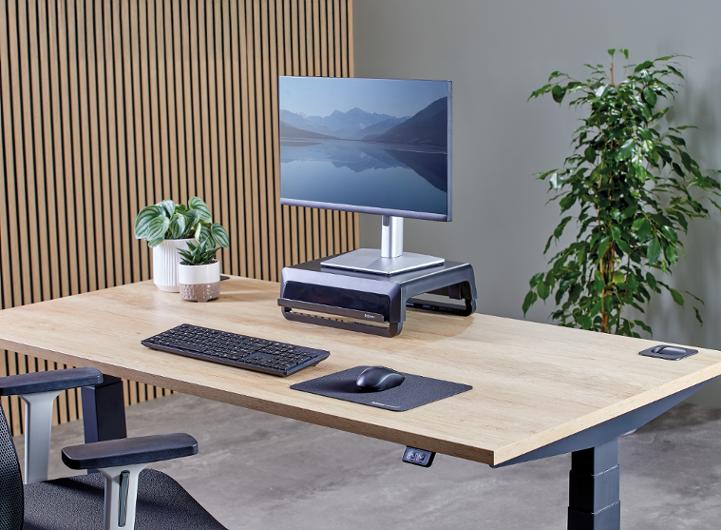 Musmatta FELLOWES Breyta 28x21 svart