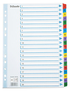 Register Esselte Mylar A4 1-20