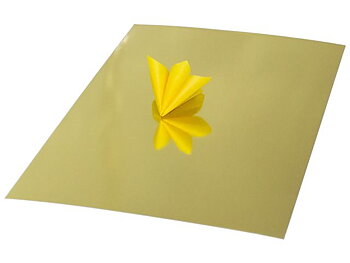 Spegelkartong 25x35cm 280g guld 20/fp